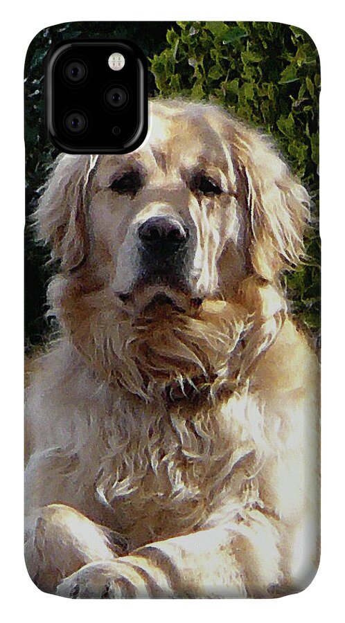 Dog iPhone 11 Case featuring the photograph Dog on Guard by Susan Savad