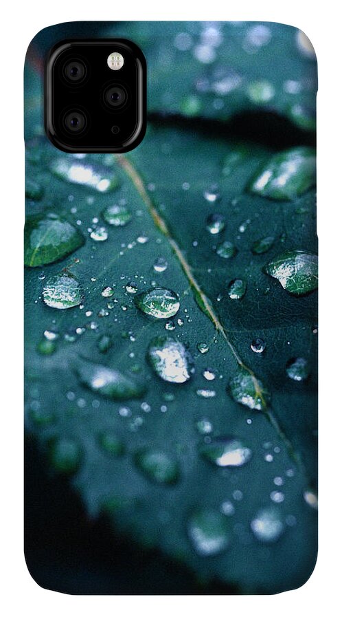 Floral iPhone 11 Case featuring the photograph Droplets by Matt Swinden