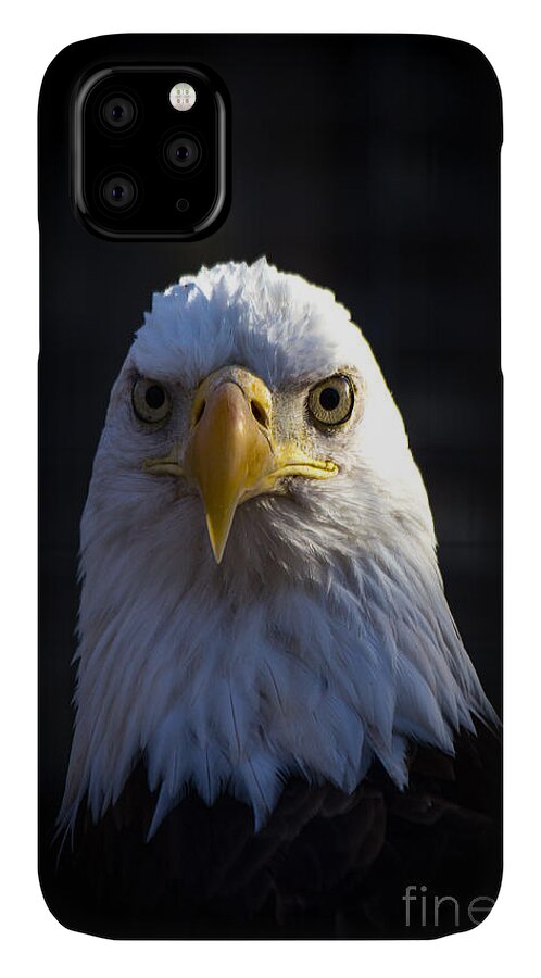 Eagles iPhone 11 Case featuring the photograph Eagle 2 by Jim McCain