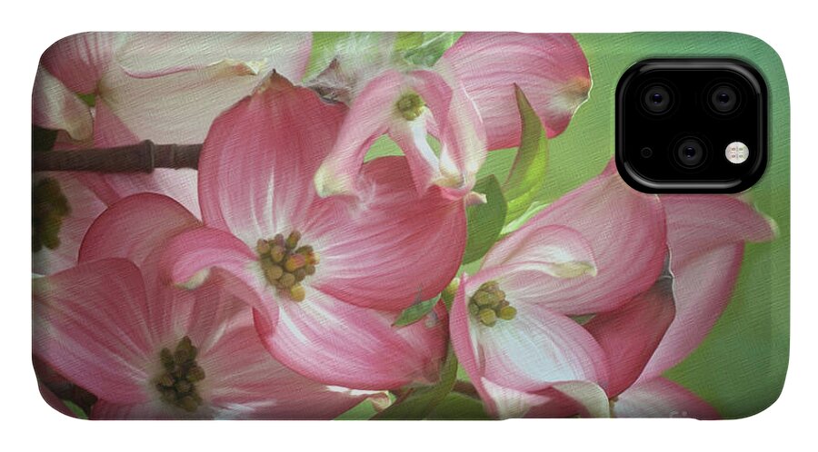 Digital Painting iPhone 11 Case featuring the painting Eastern Dogwood II by Beve Brown-Clark Photography