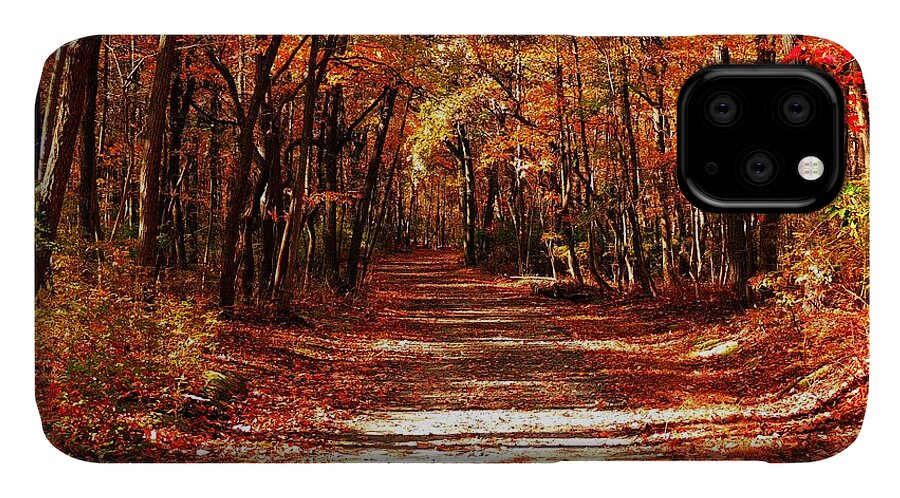 Fall iPhone 11 Case featuring the photograph Fall at Cheesequake by Raymond Salani III