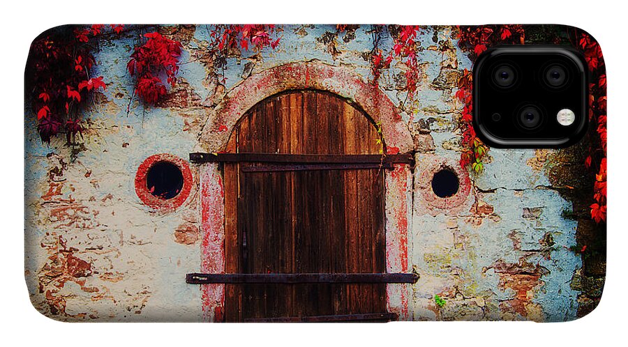 Fall iPhone 11 Case featuring the photograph Fall Door by Ryan Wyckoff