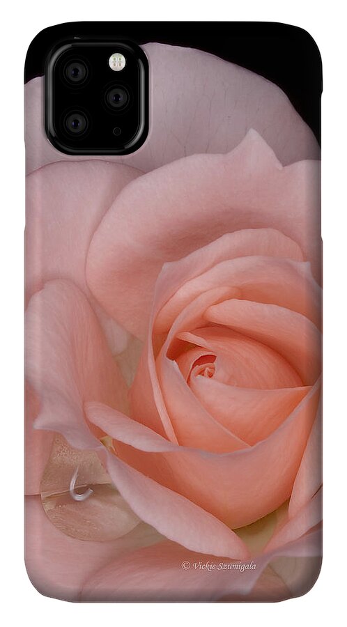 Rose iPhone 11 Case featuring the photograph First Bloom by Vickie Szumigala