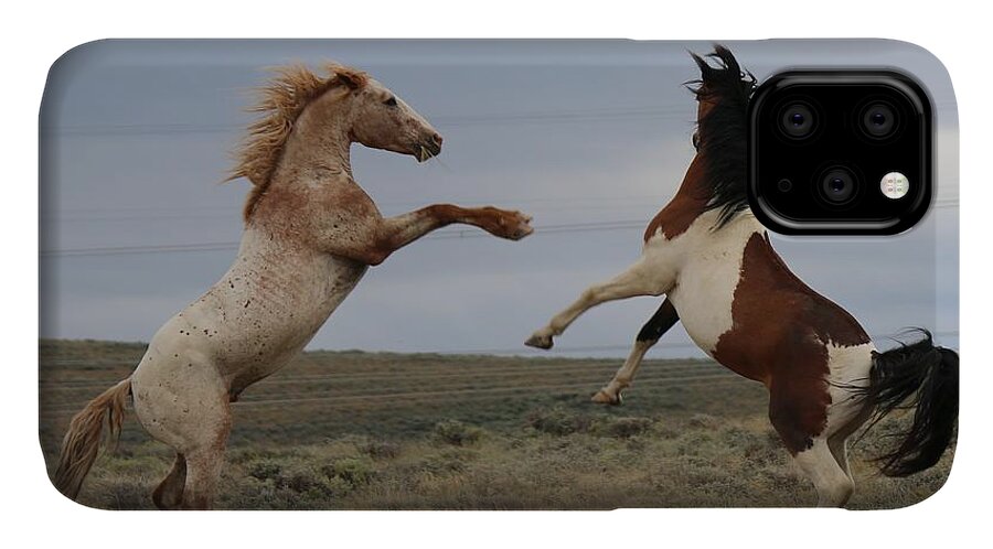  iPhone 11 Case featuring the photograph Fist Fight by Christy Pooschke