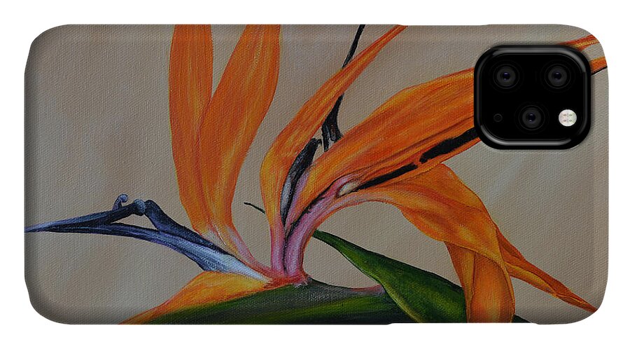 Bird Of Paradise iPhone 11 Case featuring the painting Florida Orange Bird by Nancy Lauby