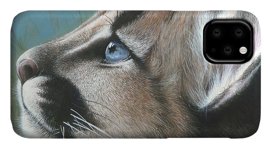 Florida iPhone 11 Case featuring the painting Florida Princess by Mike Brown