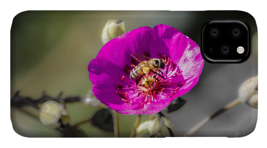 Bee iPhone 11 Case featuring the digital art Fower and Bee by Photographic Art by Russel Ray Photos