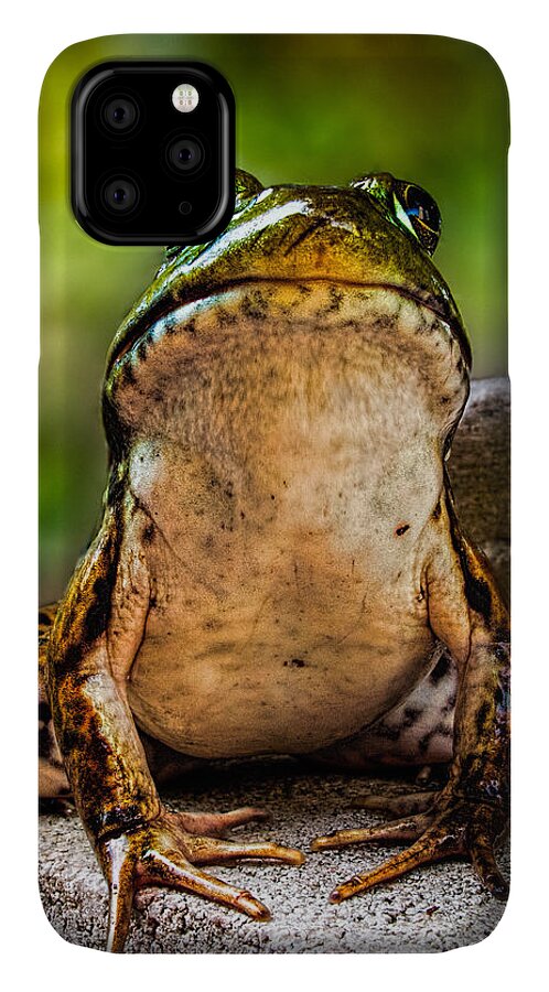 Frog iPhone 11 Case featuring the photograph Frog Prince or so he thinks by Bob Orsillo