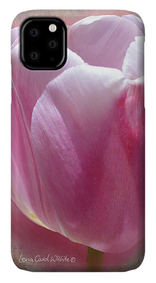 Floral iPhone 11 Case featuring the photograph From The Good Earth by Lena Wilhite