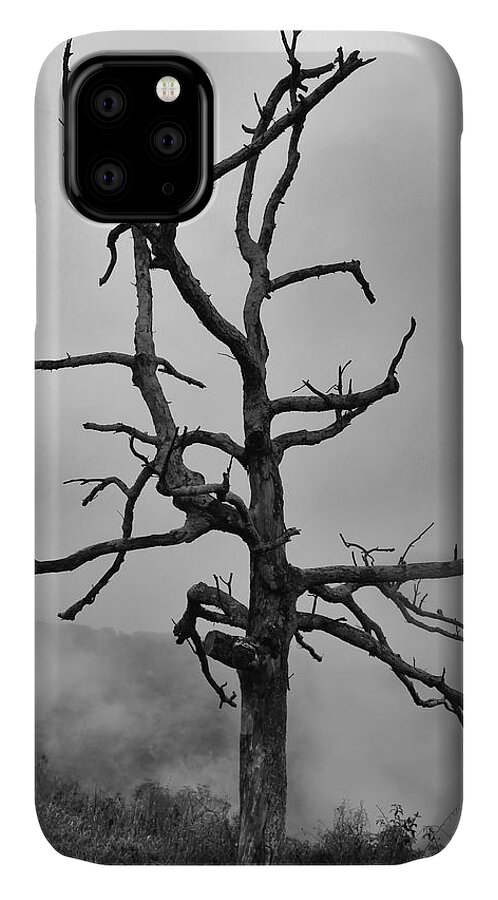 Abstract iPhone 11 Case featuring the photograph Ghost Tree by Harold Rau