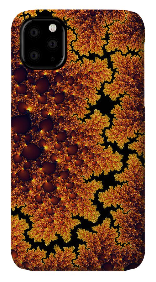 Golden iPhone 11 Case featuring the digital art Golden and black fractal universe by Matthias Hauser