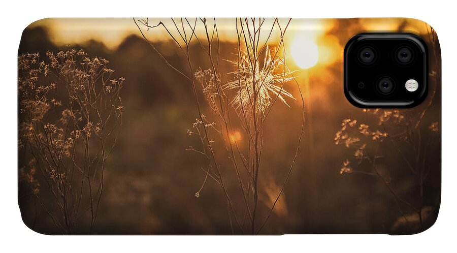 Sunshine iPhone 11 Case featuring the photograph Golden Hour by Maria Robinson