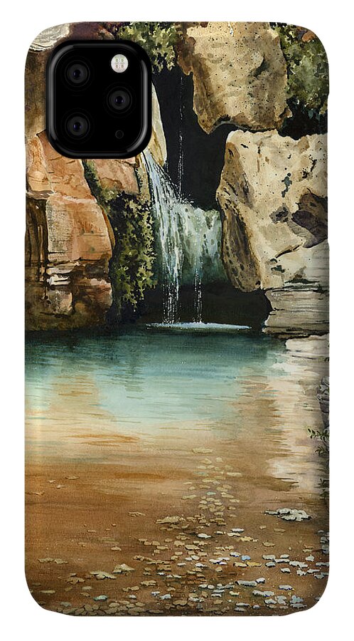 Waterfall iPhone 11 Case featuring the painting Green Falls II by Sam Sidders