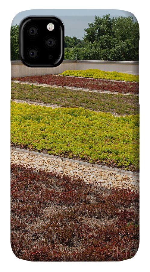 Rooftop Garden iPhone 11 Case featuring the photograph Living Roof Garden by Chris Scroggins