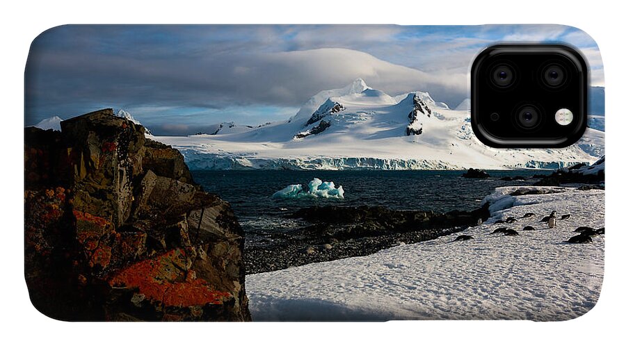 Antarctica iPhone 11 Case featuring the photograph Half Moon Island Antarctica by Andy Myatt