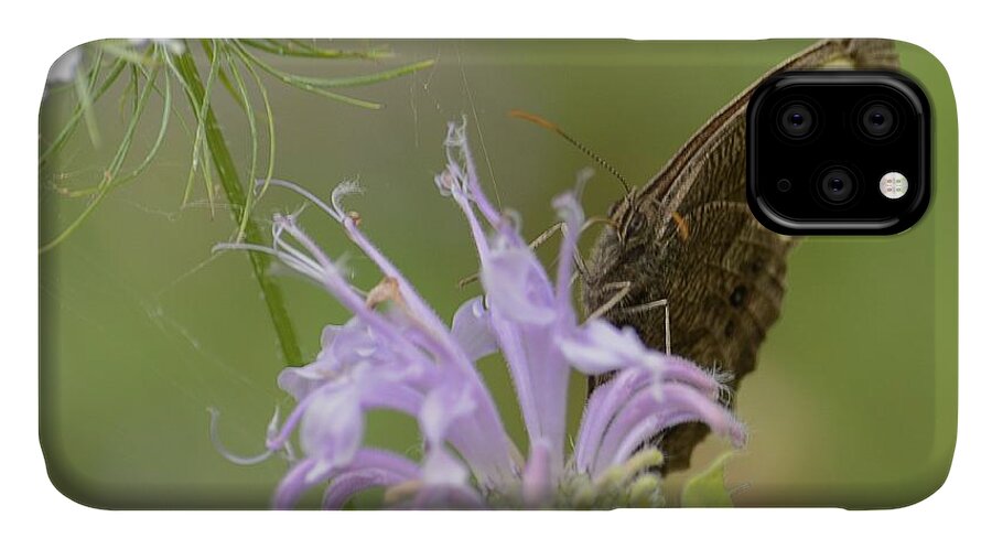 Mountain Meadow iPhone 11 Case featuring the photograph High Meadow Memory by Randy Bodkins