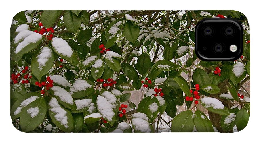 Holly Tree iPhone 11 Case featuring the photograph Holly - Winter by Felix Zapata