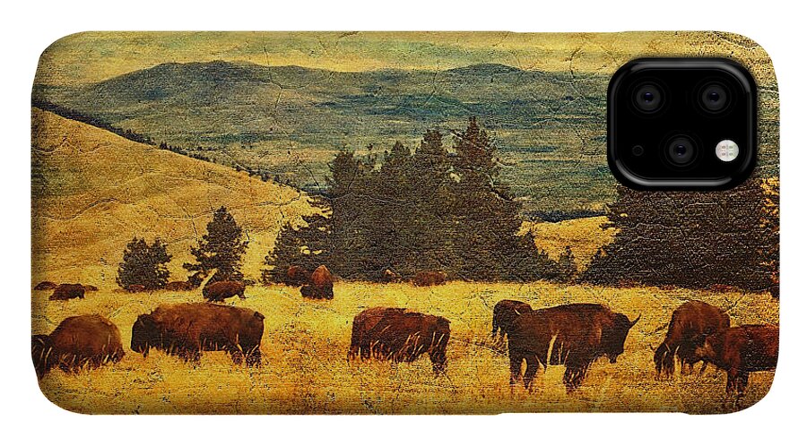 Buffalo iPhone 11 Case featuring the digital art Home on the Range by Lianne Schneider