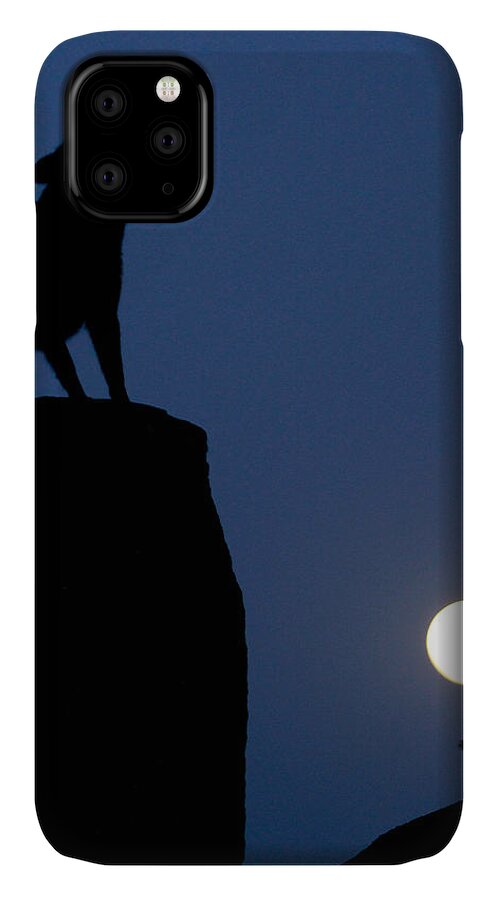 Howling iPhone 11 Case featuring the photograph Howl by Diane Bohna