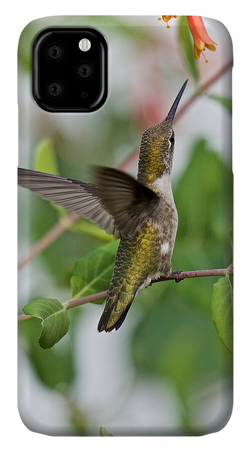 Bird Portraits iPhone 11 Case featuring the photograph Hummingbird Reaching for the Blossoms by Kristin Hatt
