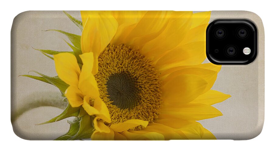 Sunflower iPhone 11 Case featuring the photograph I See Sunshine by Kim Hojnacki