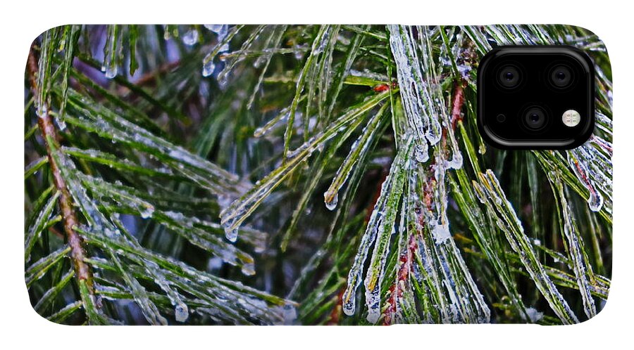 Ice iPhone 11 Case featuring the photograph Ice On Pine Needles by Daniel Reed