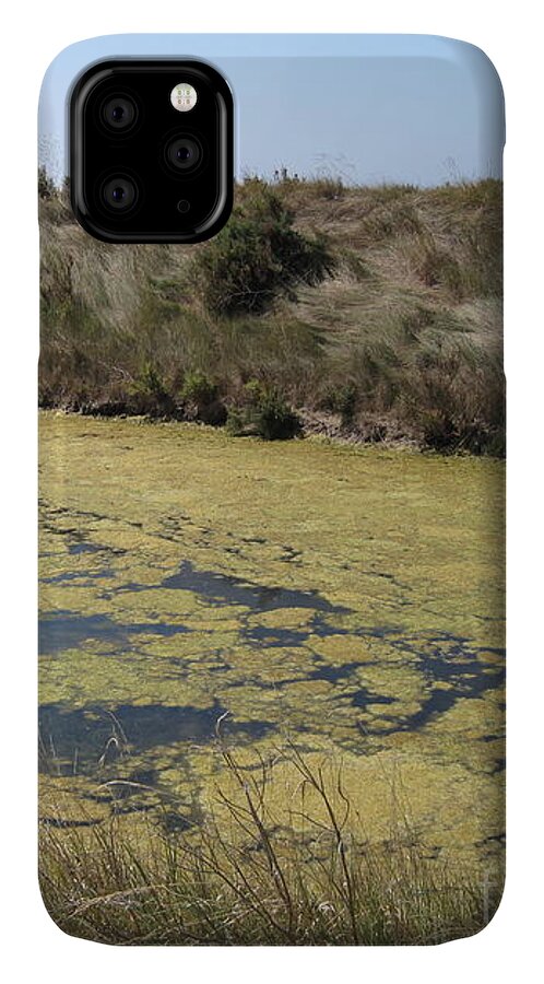 Marshes iPhone 11 Case featuring the photograph Ile de Re - Marshes by HEVi FineArt