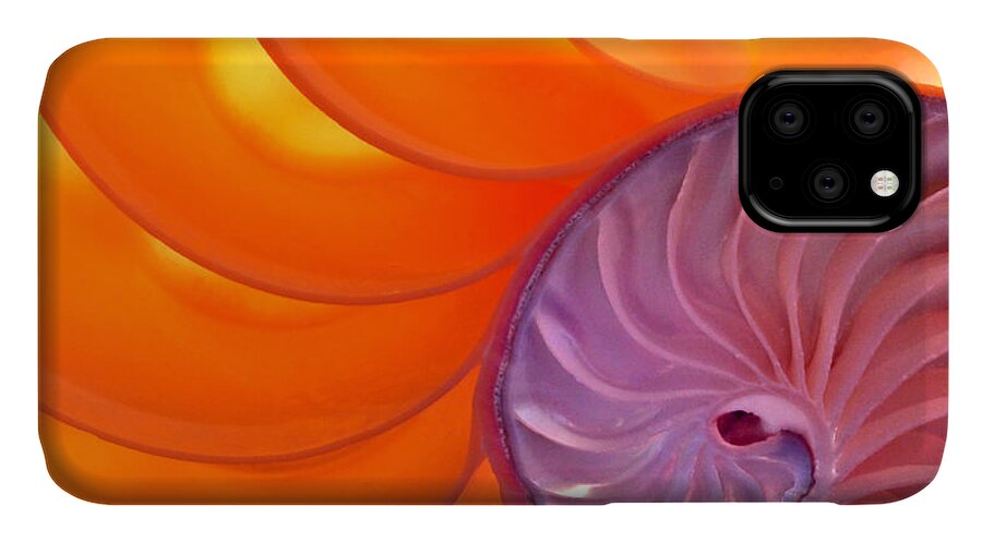 Abstract iPhone 11 Case featuring the photograph Illuminated Translucent Nautilus Shell with Spiral by Phil Cardamone
