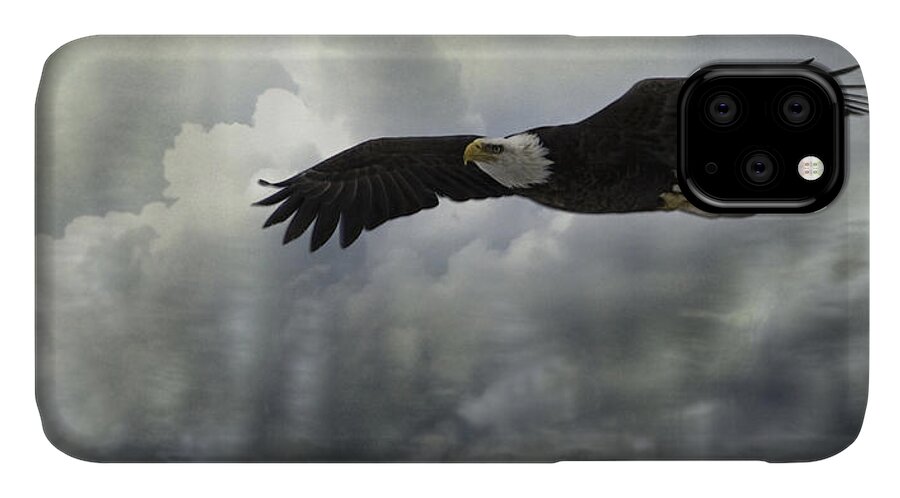 American Adult Bald Eagle iPhone 11 Case featuring the photograph Into The Heavens by Thomas Young