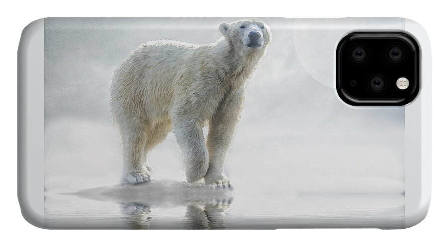Polar Bear iPhone 11 Case featuring the photograph Is anyone out there? by Brian Tarr