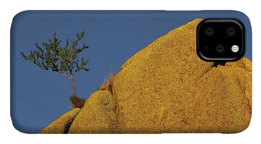 Joshua iPhone 11 Case featuring the photograph Island In The Sky Pano Version by Paul Breitkreuz