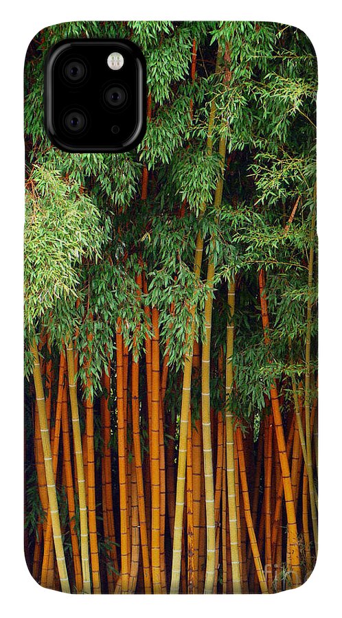 Trees iPhone 11 Case featuring the photograph Just Bamboo by Sue Melvin