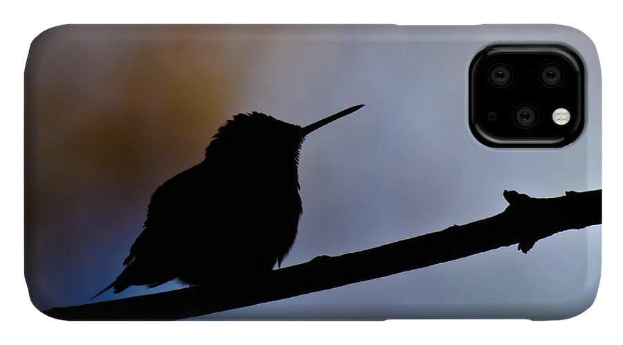 Ruby-throat Hummingbird iPhone 11 Case featuring the photograph Just Chillin by Robert L Jackson