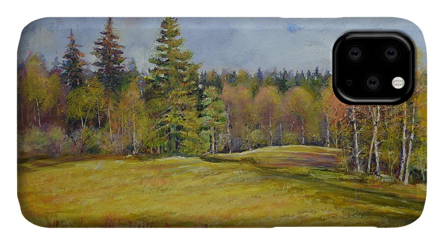 Raija Merila iPhone 11 Case featuring the painting Landscape From Pyhajarvi by Raija Merila