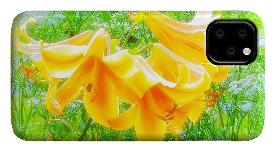 Flowers iPhone 11 Case featuring the photograph Lilies Back-Lit by Michael Hubley