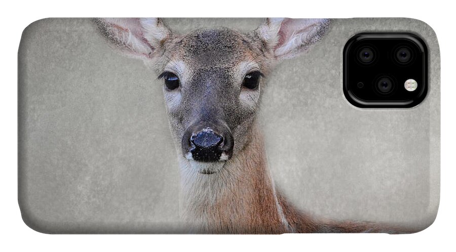 Jai Johnson iPhone 11 Case featuring the photograph Little Miss Lashes - White Tailed Deer - Fawn by Jai Johnson