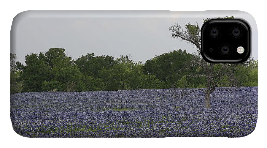 Bluebonnets iPhone 11 Case featuring the photograph Lonely Tree In Bluebonnets by Jerry Bunger