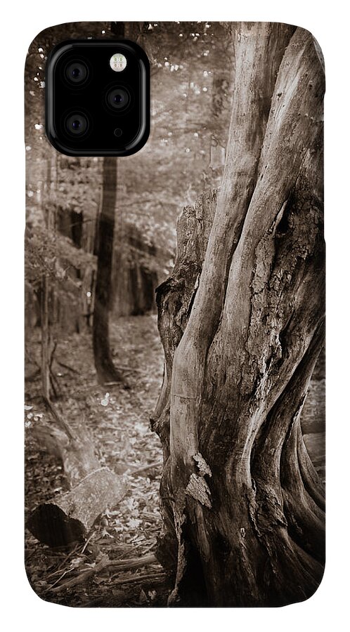 Forest iPhone 11 Case featuring the photograph Long forgotten by Chris Bordeleau