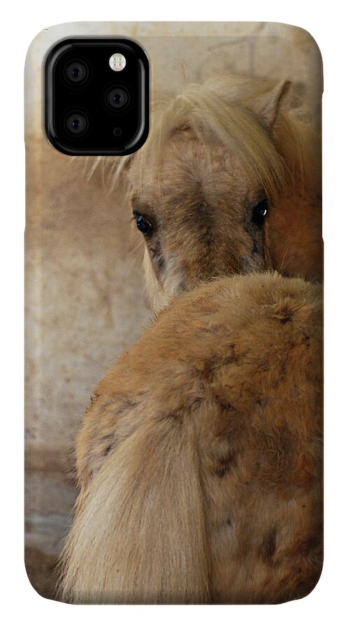 Teresa Blanton iPhone 11 Case featuring the photograph Looking Behind by Teresa Blanton