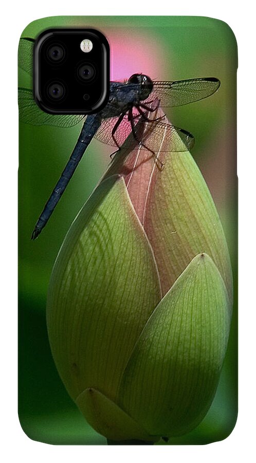 Lotus Bud iPhone 11 Case featuring the photograph Lotus Bud and Slatey Skimmer Dragonfly DL006 by Gerry Gantt