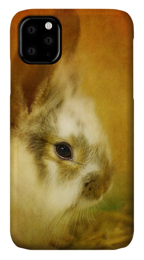 Rabbit iPhone 11 Case featuring the photograph Memories of Watership Down by Lois Bryan