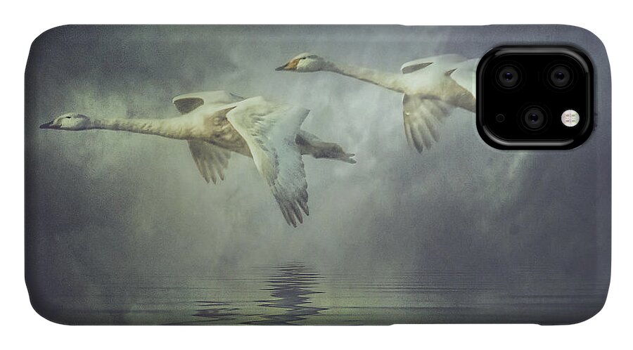 Swans iPhone 11 Case featuring the photograph Misty Moon Shadows by Brian Tarr