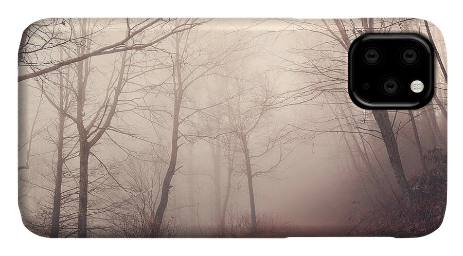 Great Smoky Mountains iPhone 11 Case featuring the photograph Misty Path by Maria Robinson