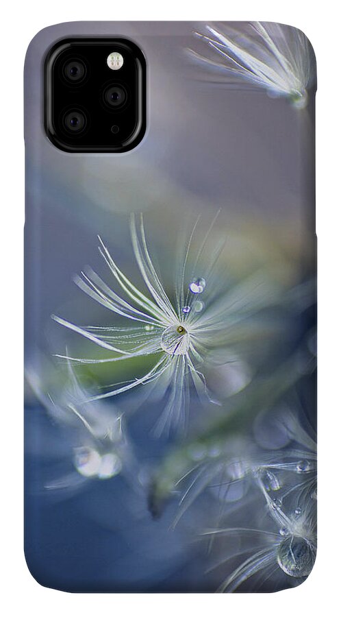 Dandelion iPhone 11 Case featuring the photograph Morning Dew by John Rivera