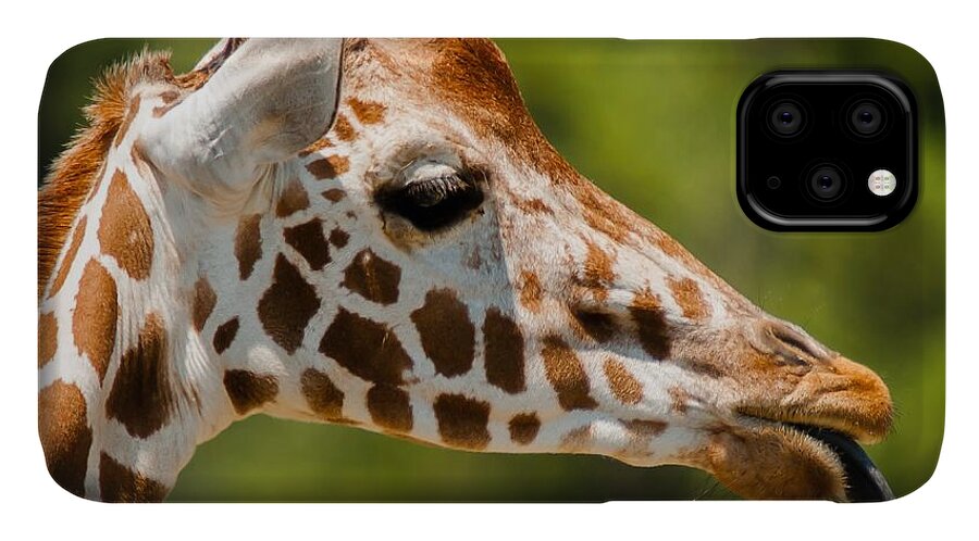 Giraffe iPhone 11 Case featuring the photograph Nana Nana Boo Boo by Robert L Jackson