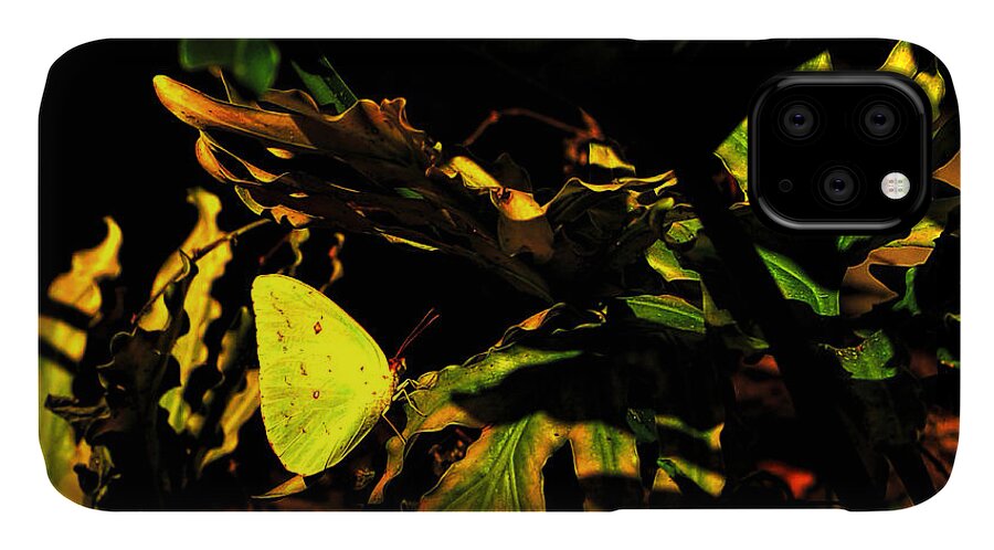 Butterfly iPhone 11 Case featuring the photograph Nature's colors by Pete Rems