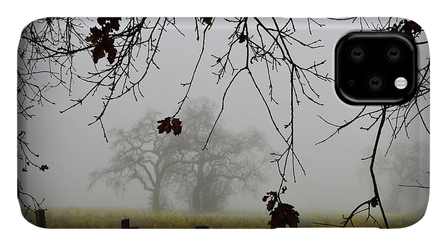 Oak iPhone 11 Case featuring the photograph Oak Dreams by Spencer Hughes