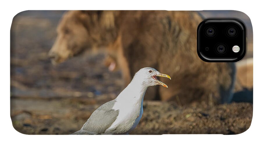Seagull iPhone 11 Case featuring the photograph Obstructed View by Chris Scroggins