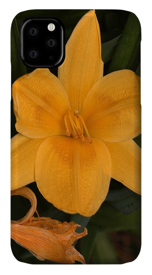 Flower iPhone 11 Case featuring the photograph Ocean Beach Yellow Flower by Wesley Elsberry