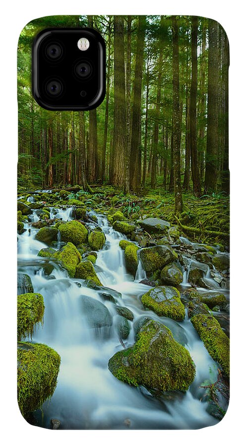 Sol Duc iPhone 11 Case featuring the photograph Olympic Green by Dan Mihai